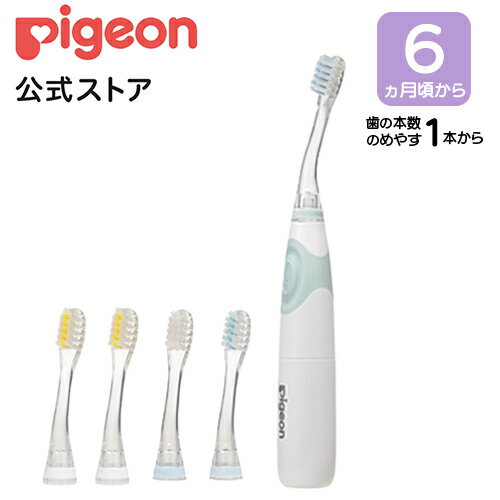 電動歯ブラシセット（グリーン）|ピジョン 歯 歯磨き 歯磨 はみがき ハミガキ 歯ブラシ ハブラシ はぶらし やわらか やわらかめ 乳歯 赤ちゃん 赤ちゃん用 赤ちゃん用品 ベビー ベビー用 ベビー用品 ベビーグッズ 電動歯ぶらし 仕上げ用 仕上げ専用 コードレス