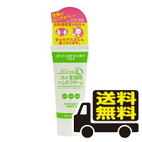 ☆メール便・送料無料☆数量限定！プロ・業務用ハンドクリーム (60g) 代引き不可　無香料　無着色
