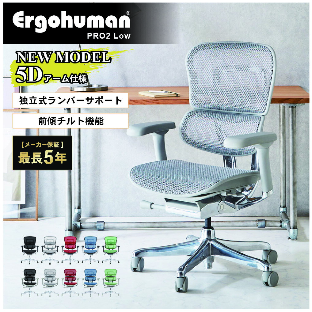 エルゴヒューマン プロ2 ロータイプ 5Dアームレスト Ergohuman Pro2 Low 正規品 最長5年保証 オフィスチェア メッシュチェア 高機能 腰痛対策 EHP2-LAM-5D-DR