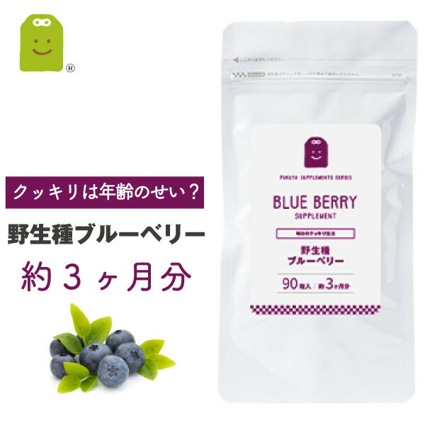 ＼半額以上 50%OFF／ ワイルドブルーベリー ビルベリー ルテイン サプリメント 約3ヶ月分 アントシアニン豊富なワイルドビルベリー ストロベリーエキス クランベリーエキス メグスリノキエキス アイ コエンザイムQ10 レスベラトロール 楽天スーパーSALE 2026 父の日