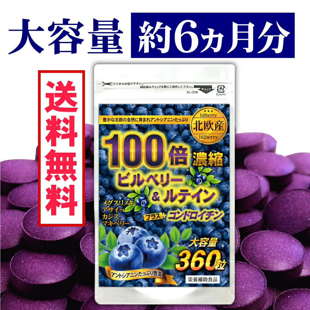 ビルベリー ルテイン サプリメント ブルーベリー サプリ【約6ヵ月分/360粒】北欧産100倍濃縮PLUSコンドロイチン【メール便送料無料】