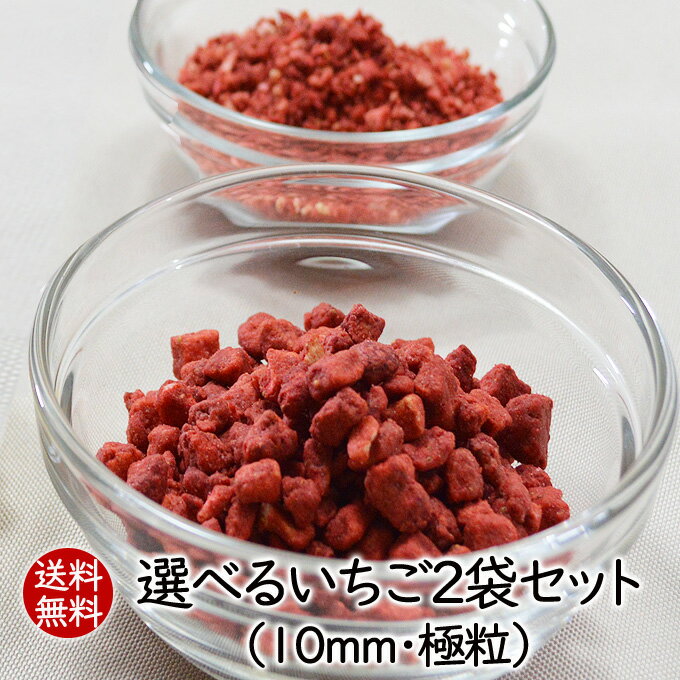 アスザックフーズ 送料無料 選べるいちご2袋セット 乾燥いちご ドライイチゴ ドライいちご フリーズドライいちご バレンタイン・ホワイトデー 手作りチョコお菓子作り 製菓 フリーズドライイチゴ 苺 乾燥野菜　いちご10mm　極粒 【メール便発送】