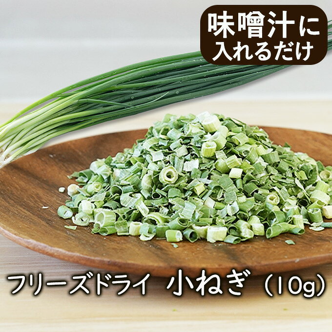【ランキング1位】アスザックフーズ 乾燥野菜 フリーズドライ野菜 フリーズドライ小ねぎ（10g）小ネギ コネギ 乾燥ネギ ドライねぎ 味噌汁 ラーメン具材 乾燥野菜のアスザックフーズ カット野菜 カット 長期保存 簡単 便利 防災・備蓄・味噌汁の具