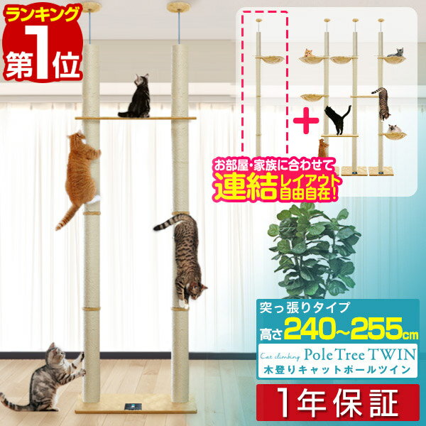 【10,450円→SALE9,790円〜6/11(木)01:59まで】【楽天1位】キャットツリー 突っ張り ツイン 直径 10cm 高さ 240 – 255cm 幅 75cm 渡り板付き 猫タワー シニア 運動不足 木登り きのぼり 木登りタワー 木登りキャットポール 組み立て 設置 ■[送料無料]