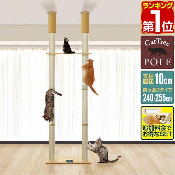 【楽天1位】キャットツリー 突っ張り ツイン 直径 10cm 高さ 240 – 255cm 幅 75cm 渡り板付き 猫タワー シニア 運動不足 木登り きのぼり 木登りタワー 木登りキャットポール 組み立て 設置 簡単 爪とぎ 多頭 猫 ねこ ペット ペット用品 1年保証 ★[送料無料]