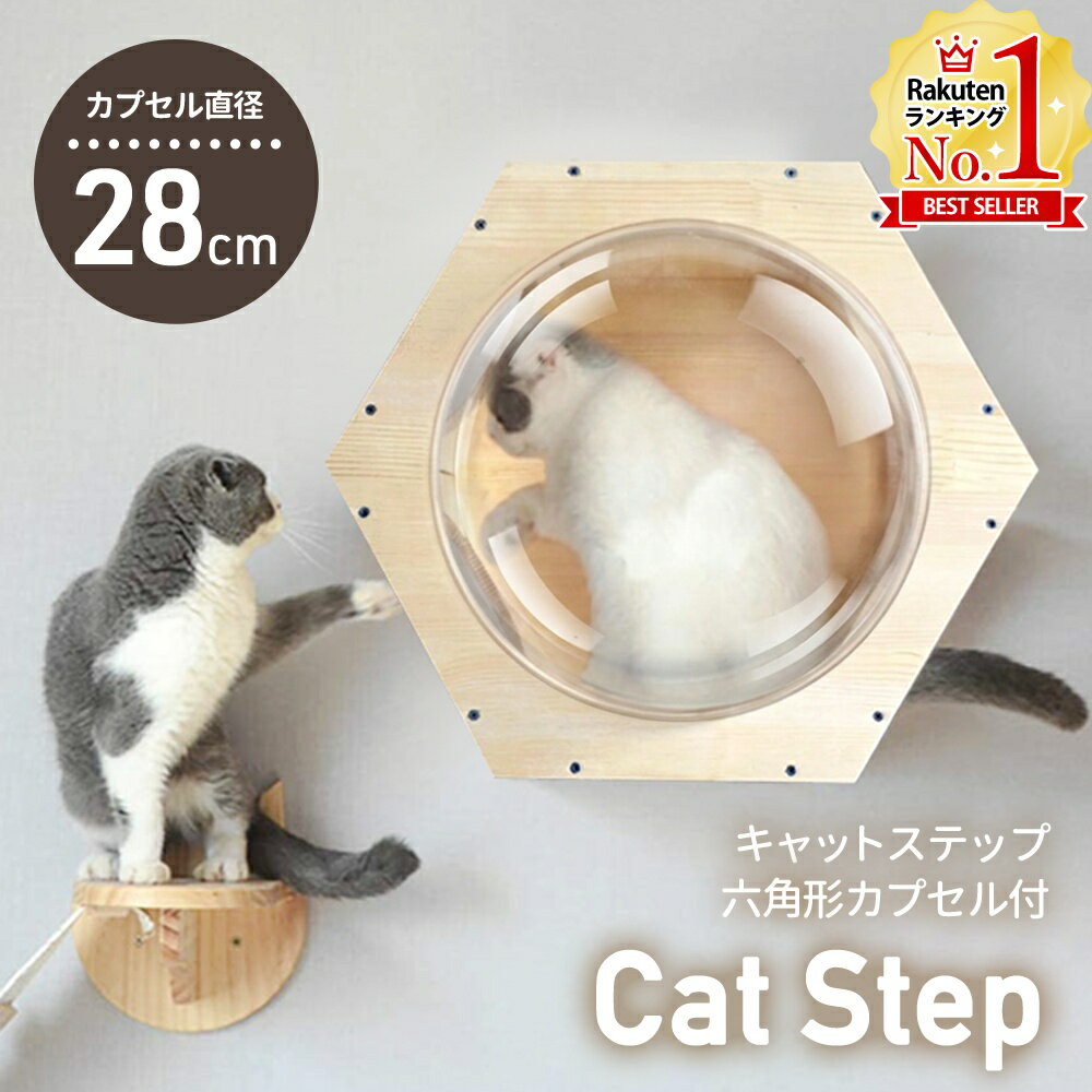 【最大半額クーポン配布4日20時〜 条件あり】 キャットウォーク 壁 壁付け 猫 壁掛け 棚板 足場 キャットステップ 木製 クリア 宇宙船 キャットタワー キャットハンモック クリアステップ キャット ステップ キャットツリー
