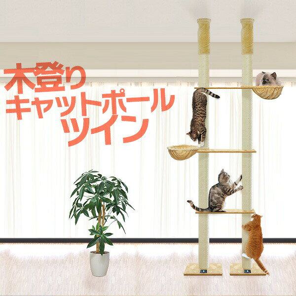 キャットツリー 突っ張り ツイン 直径 10cm 高さ 240 – 255cm 幅 75cm 渡り板付き 猫タワー シニア 運動不足 木登り きのぼり 木登りタワー 木登りキャットポール 組み立て 設置 簡単 爪とぎ 多頭 猫 ねこ ペット ペット用品 ●[送料無料]