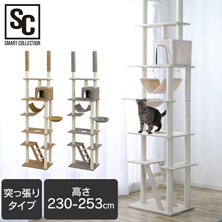 キャットタワー 突っ張り 突っ張りキャットタワー CCCT-4060T スリム 省スペース 猫タワー 猫 子猫 ベージュ 爪とぎ 爪研ぎ ポール 屋上 ハンモック はしご ハウス おしゃれ インテリア はしご ブラウン グレー ベージュ【AR対象】