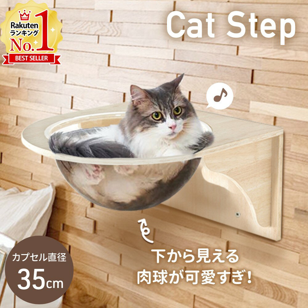 【LINE登録でクーポン配布中】 キャットステップ 壁付け キャットタワー ハンモック クリアステップ キャット ステップ キャットツリー キャットウォーク 壁用 壁 壁掛け用 壁付け 猫ステップ 壁取り付け 壁面用