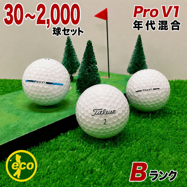 【Bランク】 タイトリスト PRO V1 年代混合 ホワイト 選べる球数 ロストボール 練習用 初心者用 ゴルフボール 中古 エコボール コスパ最強 専門店 30~2000球