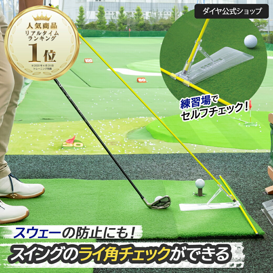 ★10%OFF 送料無料★ 【メーカー公式ショップ】 ライ角やスウェー防止をする練習器具 人気 | ゴルフ練習器具 スイング練習 スイング練習器 ライ角 スウェー防止 アライメントスティック 素振り ダイヤゴルフ ゴルフ用品 ゴルフ練習用品 アライメント ゴルフスイング プレーン