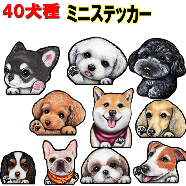 母の日 ギフト 犬 1000円ポッキリ 送料無料 ミニ 犬 ステッカー オリジナル シール チワワ トイプードル フレンチブルドッグ 柴犬 ダックスフンド パグ シーズー シュナウザー ポメラニアン グッズ 雑貨 車に貼る 車ステッカー 車用 犬ステッカー 車 誕生日