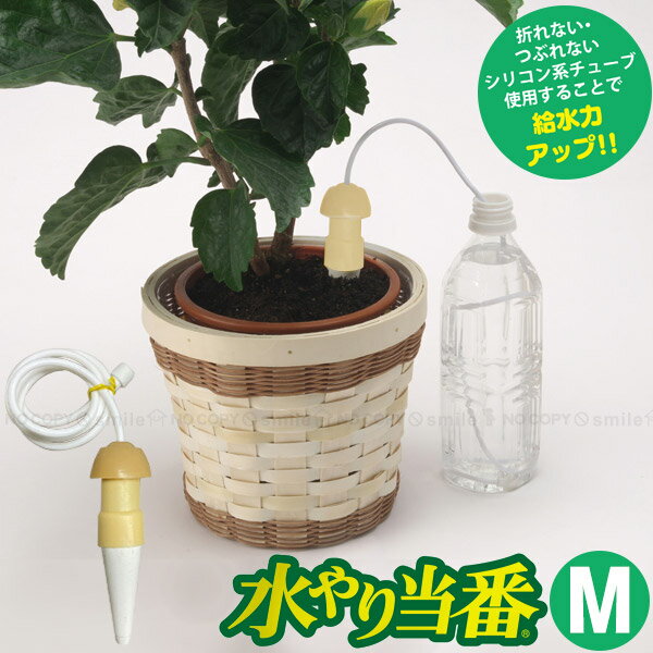 水やり当番 M【コンパクト便】/ 水やり サイフォン 毛細管現象 自動 自動給水栓 自動水やり器 鉢 プランター 観葉植物 留守 旅行