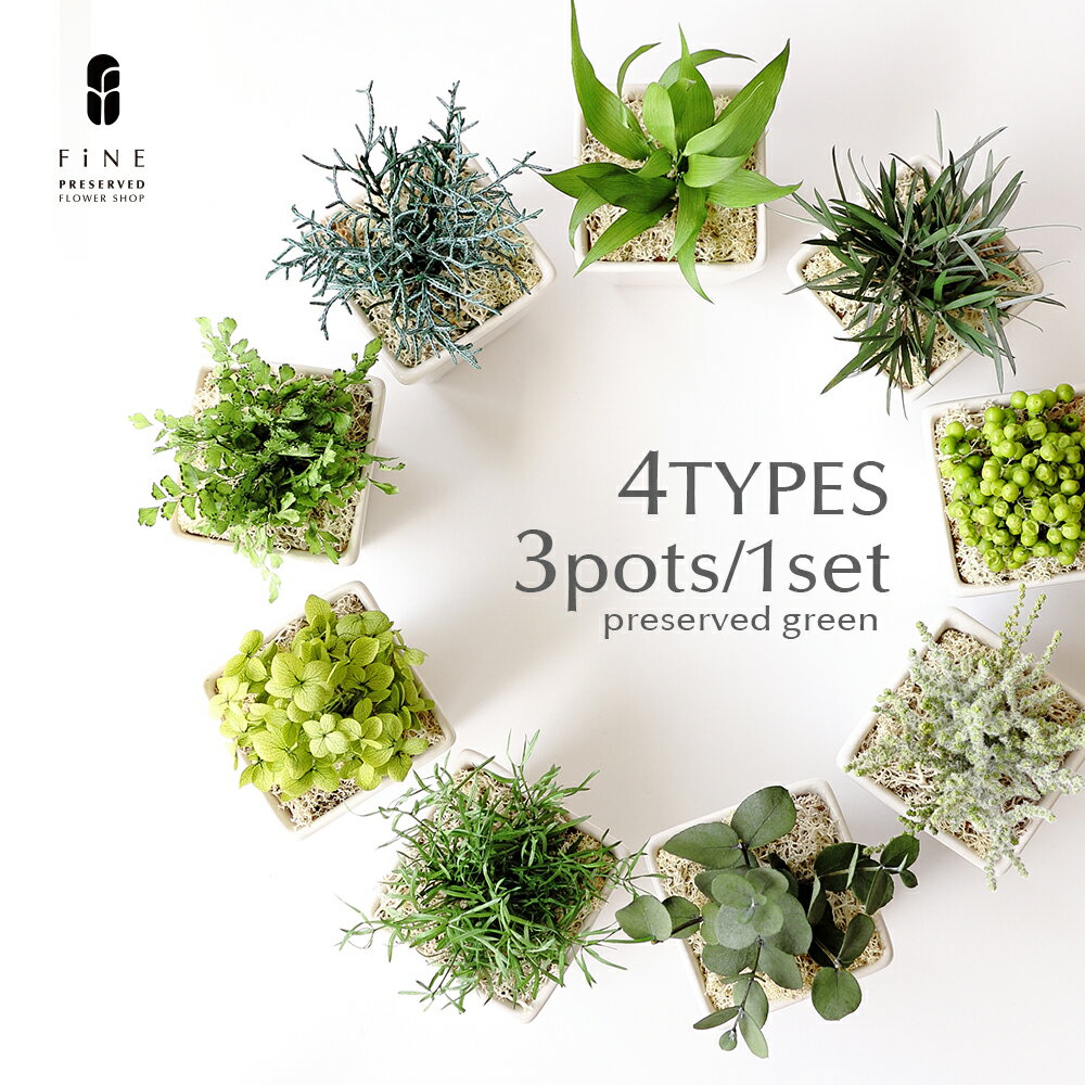 枯れない 観葉植物 全4種【3個1セット】 小さい ギフト プレゼント グリーンポット プリザーブドフラワー 母の日 枯れない 誕生日 開店祝い おしゃれ お礼 友人 小さい フェイク 観葉植物 グリーン 男性 父 送別祝い 退職祝い