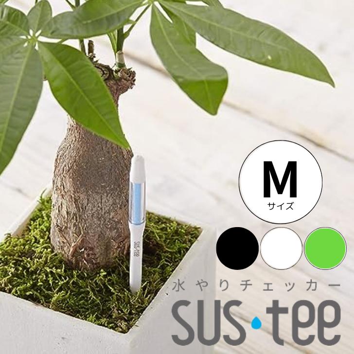 【サスティー Mサイズ シングルパック（個包装）】sustee グリーン ホワイト ブラック 5〜6号鉢用 水やりチェッカー 植物 水分計 観葉植物 盆栽にも