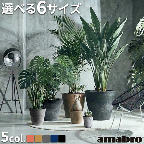 ●楽天1位 プランター 植木鉢 おしゃれ 鉢植えアマブロ アートストーン [ SSS / SS / S / M / L / LL ] AMABRO ART STONE花 栽培 通販 水やり かわいい ガーデニング 排水 乾燥防止 ギフト プレゼント 母の日◇