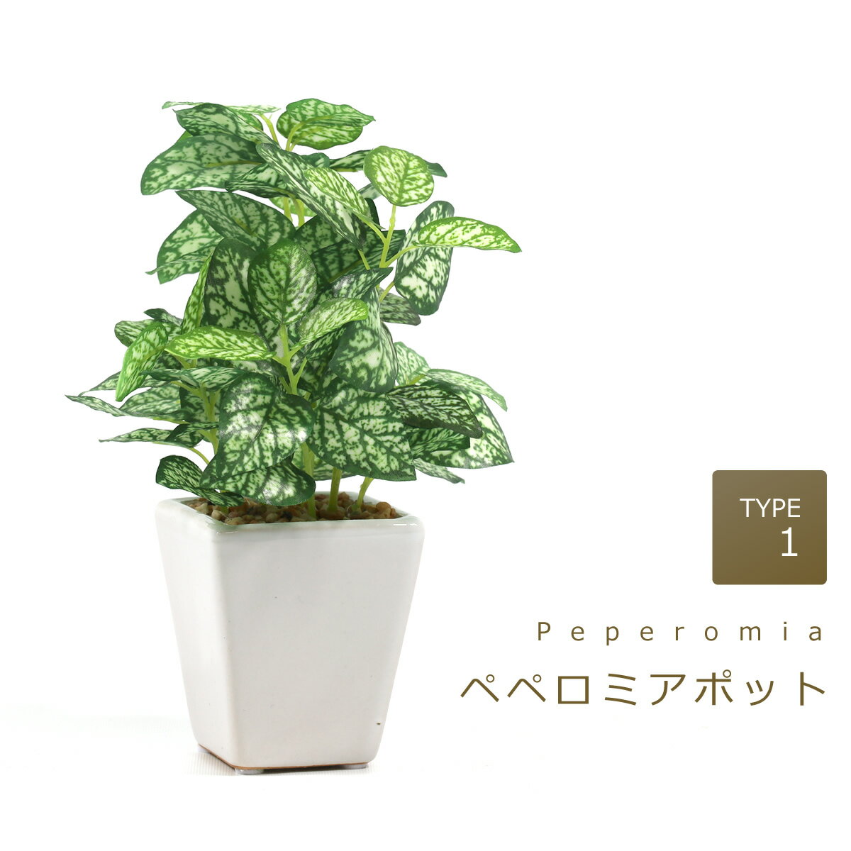 光触媒 光の楽園 卓上 グリーン フェイク 人工観葉植物選べる2タイプ ペペロミア or フィットニア【ラッピング不可】
