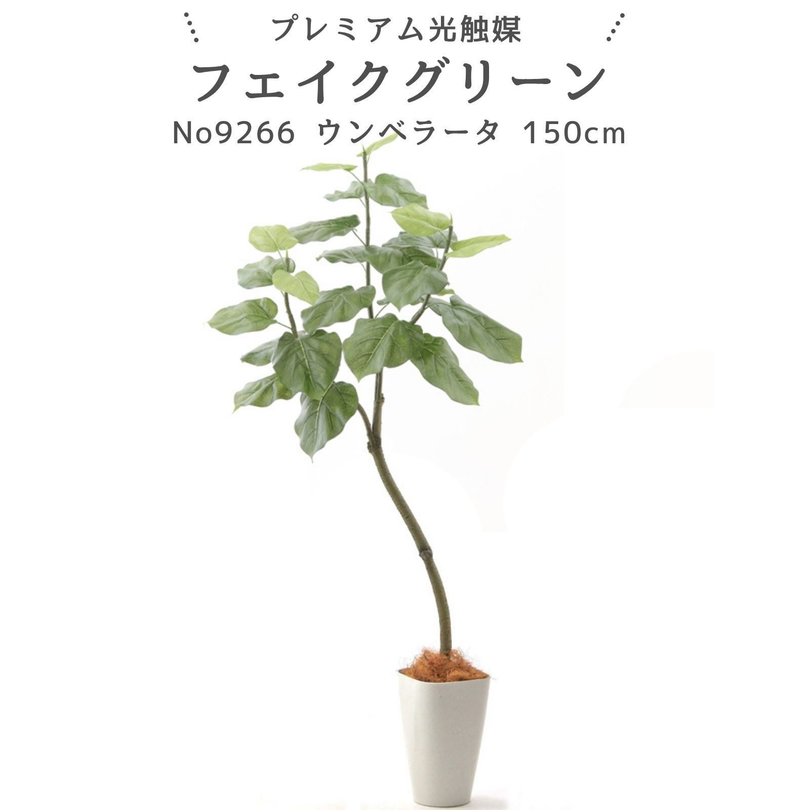 フェイクグリーン ウンベラータ 150cm 光触媒 観葉植物 造花 リアル 室内 リビング 玄関 インテリア おしゃれ 人工観葉植物 消臭 抗菌 プレミアム光触媒フェイクグリーン No92661 フィカス・ウンベラータ ｜スマートポット付｜ヤシの繊維付