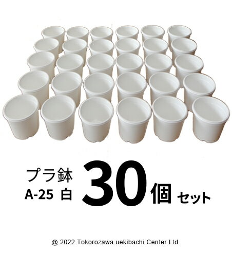 プラ鉢 A-25 白（オリジナルホワイト） 30個セット プラスチック鉢 プラスチック植木鉢 プランター 多肉 植物 多肉植物 エケベリア 鉢 植木鉢 プラスチック ガーデニング ガーデニング用品 ガーデニング植木鉢 まとめ買い 園芸用品鉢