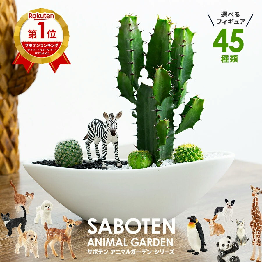 サボテン 寄せ植え ギフト 楽天1位 オシャレ かわいい 観葉植物 多肉植物 寄せ植え カクタス 大雲閣 アニマルサボテン 舟形タイプ 40種類 から 選べる シュライヒ 動物フィギュア付 陶器鉢 鉢植え 鉢 さぼてん プレゼント 誕生日 開店祝い 美容室