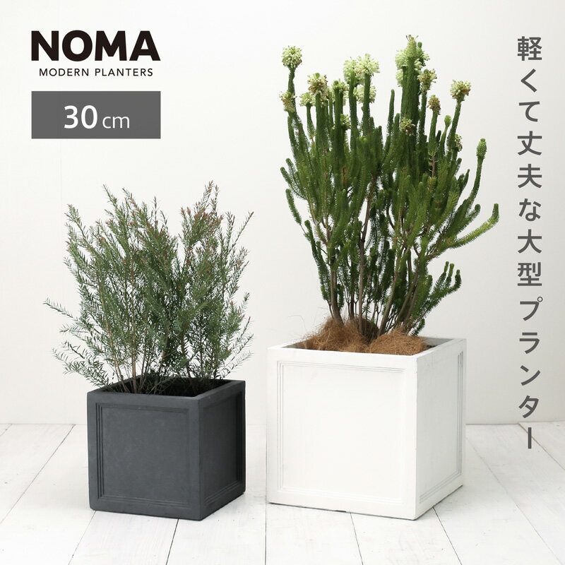 【植木鉢】【大型】ファイバークレイプロ ノーマン キューブ 30　【植木鉢 大型 プランター おしゃれな植木鉢 鉢 鉢カバー 軽量 セメント セール対象2】