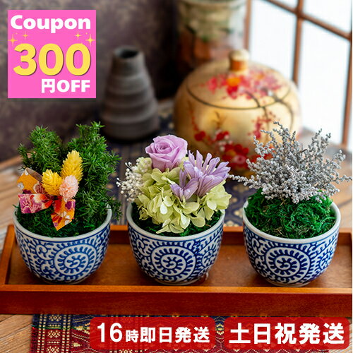 300円OFFクーポン プリザーブドフラワー 送別 枯れない ミニ盆栽 苔玉 観葉植物 花 ギフト お花 誕生日 プレゼント 女性 男性 母 父 祖母 祖父 還暦 緑寿 古希 喜寿 卒寿 傘寿 米寿 お祝い 60代 70代 80代 新築祝い ブリザードフラワー 無料ラッピング 退職 父の日 bon・bon