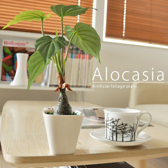 【先着5名様限定！50％OFFクーポン配布中】 観葉植物 アロカシア 光触媒 フェイクグリーン 人工観葉植物 卓上 おしゃれ 造花 消臭 抗菌 卓上観葉植物 水やり不要 人工植物 かわいい 光触媒人工観葉植物アロカシア グリーン