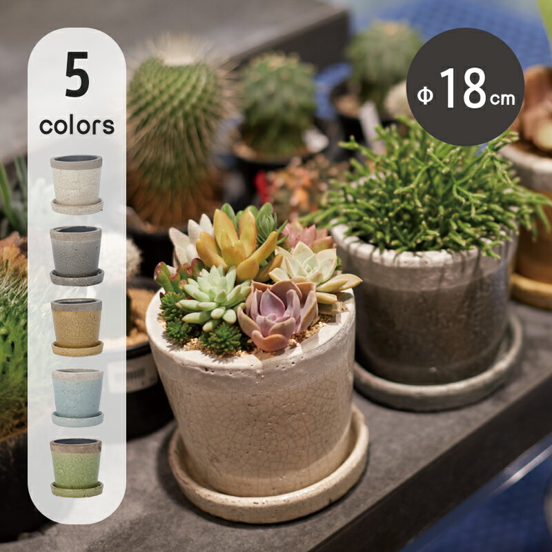 【おしゃれな植木鉢】【陶器鉢】リジュー クリーパ 6号 受け皿付き【植木鉢 おしゃれな植木鉢 鉢 テラコッタ 素焼き鉢 陶器鉢 セール対象1（一部カラー）】