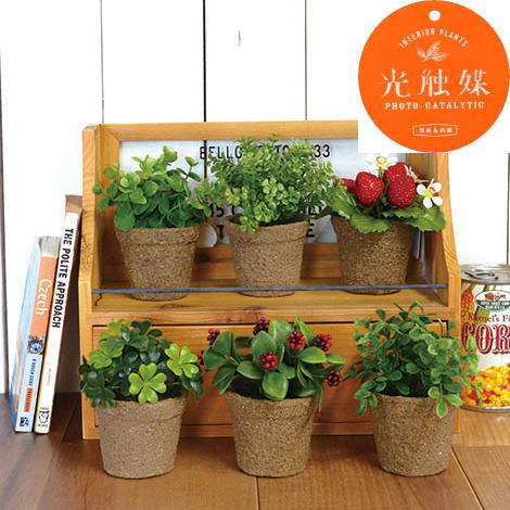ケーアイジャパン 観葉植物 フェイクグリーン 造花 光触媒 ミニグリーン　※定形外可450円