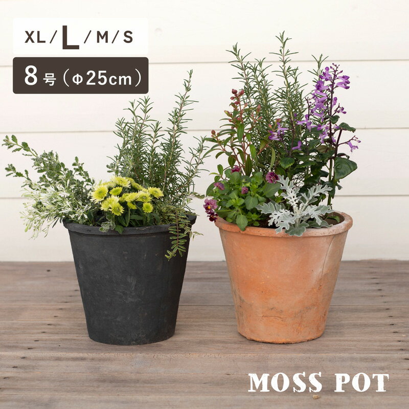 【植木鉢】【素焼き鉢】モスポット 408L 8号【植木鉢 おしゃれな植木鉢 鉢 テラコッタ 素焼き鉢 陶器鉢】