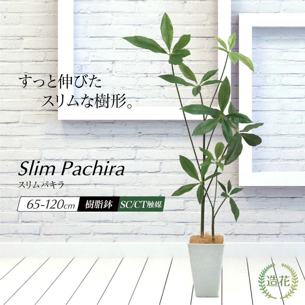＼10%OFFクーポンあり／ フェイクグリーン 観葉植物 パキラ 大型 スリム 光触媒 CT触媒 本物そっくり 人工観葉植物 おしゃれ リアル 造花 インテリア 北欧 FRP 樹脂 消臭 抗菌 人工樹木 鉢植え 玄関 お祝い 開店祝い 送料無料 / スリムパキラ 65cm〜120cm