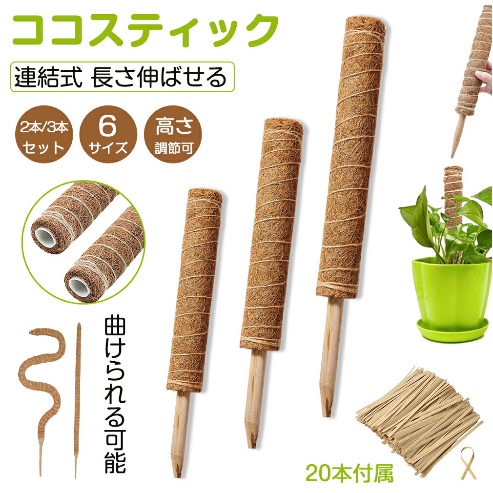 【★楽天1位 】 モンステラ 支柱 ココスティック 観葉植物 支柱 園芸支柱 植物 ガーデニング用 花ささえ ココナッツ支柱 植物サポート つる性植物 トマト ポトス 支柱 園芸用 園芸支柱パーツ 高さ調整可 ココナッツ モンステラ支柱 植物成長 おしゃれ