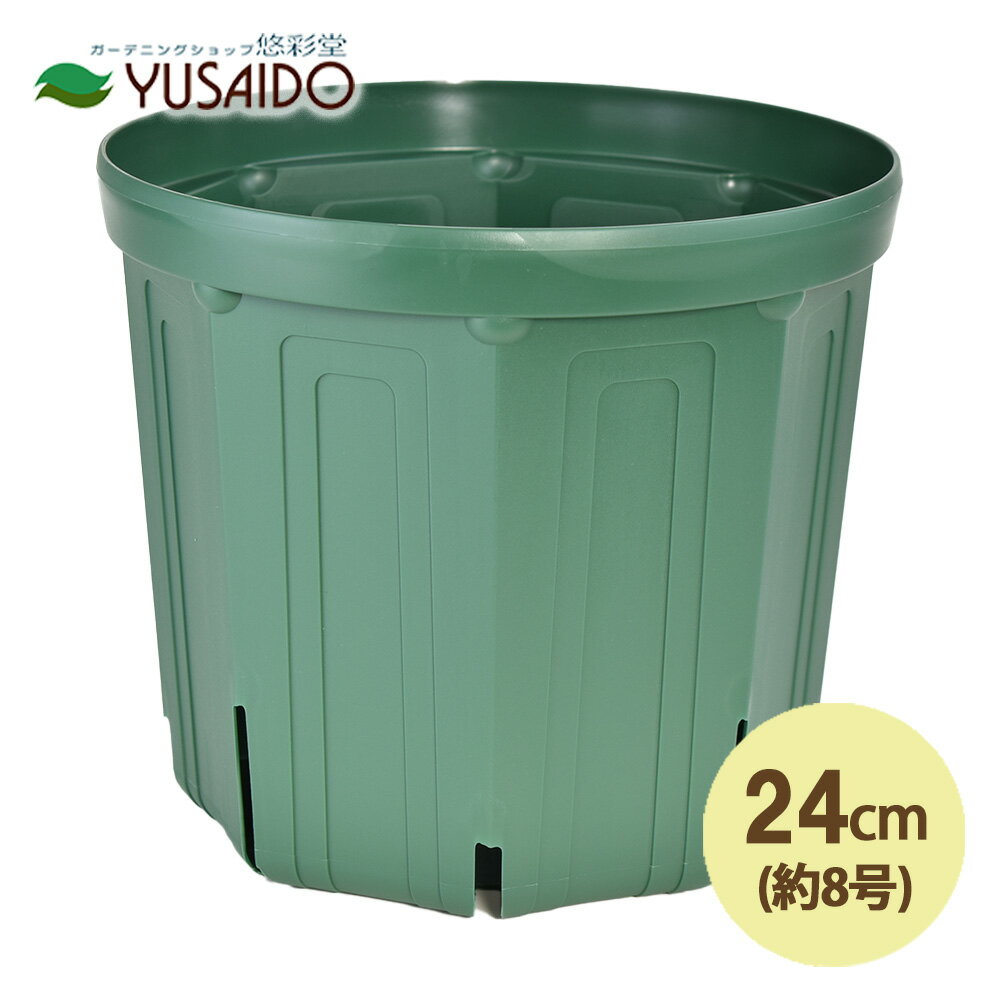 兼弥スリット鉢 24cm 8号 CSM-240 モスグリーンカネヤ スリット鉢 スリット 植木 ポット プランター 育苗 根はり鉢 ガーデニング 園芸 排水性 通気性 根腐れ カーメン君 浅型 根張り 鉢替え コスパ 観葉植物 草花 多肉 スリット鉢8号