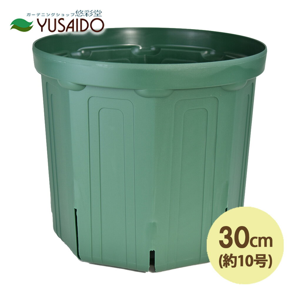 【ポイント5倍】兼弥スリット鉢 30cm 10号 CSM-300 モスグリーンカネヤ スリット鉢 スリット 植木 ポット プランター 根はり鉢 ガーデニング 園芸 排水性 通気性 根腐れ カーメン君 浅型 大型 根張り 鉢替え コスパ アボカド レモン 観葉植物 草花