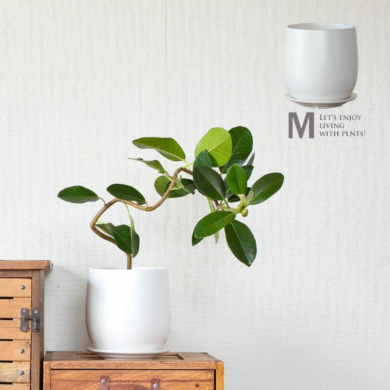 白い陶器の植木鉢。マット仕上げ優しいカタチ。 植木鉢 おしゃれ 陶器 4号 5号 6号 観葉植物 鉢 植え替え 縦長 インテリア 白 丸い たまご型 タマゴ ホワイト 鉢植え 土 ガーデニング 屋内 小さい 小さめ ミニ シンプル