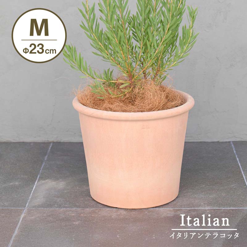 シリンドロ アリーナ / モカ 8号 （Φ23cm）【植木鉢 おしゃれな植木鉢 鉢 テラコッタ 素焼き鉢 イタリア】