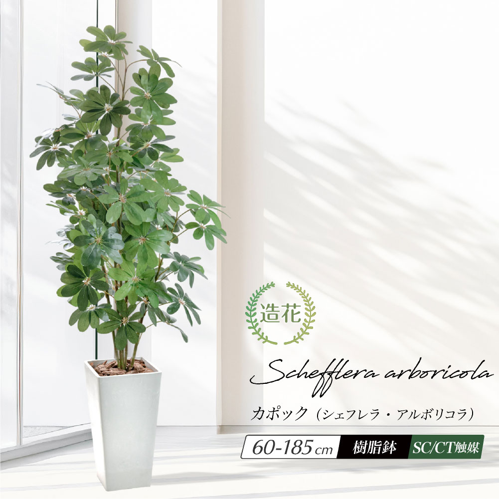 フェイクグリーン 大型 おしゃれ 観葉植物 造花 光触媒 CT触媒 消臭 リビング 人工観葉植物 パーテーション ナチュラル 開店祝い リアル インテリア 玄関 お祝い 送料無料 / カポック（シェフレラ・アルボリコラ） 60cm〜185cm