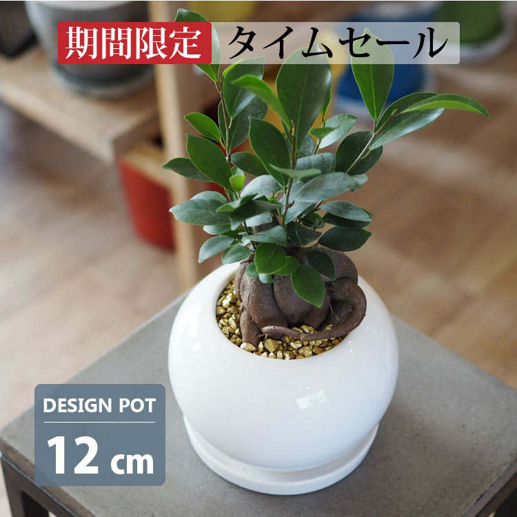 【タイムセール10％OFFクーポン配布中！】植木鉢 おしゃれ シンプルポット RR072-125 4号(12.5cm) 鉢底穴有り 受け皿付き 陶器鉢 ホワイト 白 丸型 シリンダー
