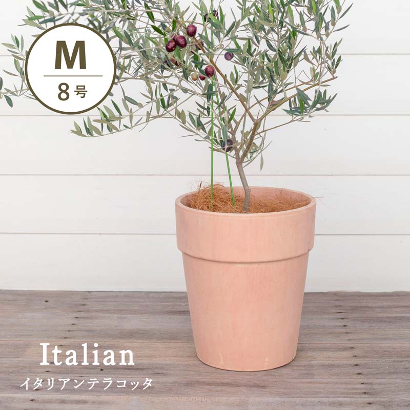 アルト　アリーナ　8号 　≪植木鉢 イタリアンテラコッタ鉢 素焼き鉢 イタリア≫
