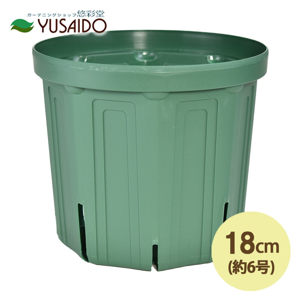 兼弥スリット鉢 18cm 6号 CSM-180 モスグリーンカネヤ スリット鉢 スリット 植木 ポット プランター POT 育苗 根はり鉢 ガーデニング 園芸 排水性 通気性 根腐れ カーメン君 浅型 根張り 鉢替え コスパ 観葉植物 草花 多肉