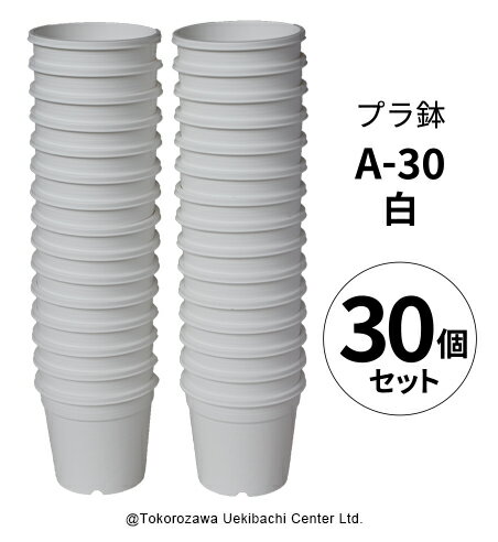 プラ鉢 A-30 白（オリジナルホワイト） 30個セット プラスチック鉢 プラスチック植木鉢 多肉 多肉植物 鉢 植木鉢 エケベリア ホワイト プランター ガーデニング ガーデニング用品 ガーデニング鉢植え ガーデニング植木鉢 大量 セット 園芸用品鉢 まとめ買い