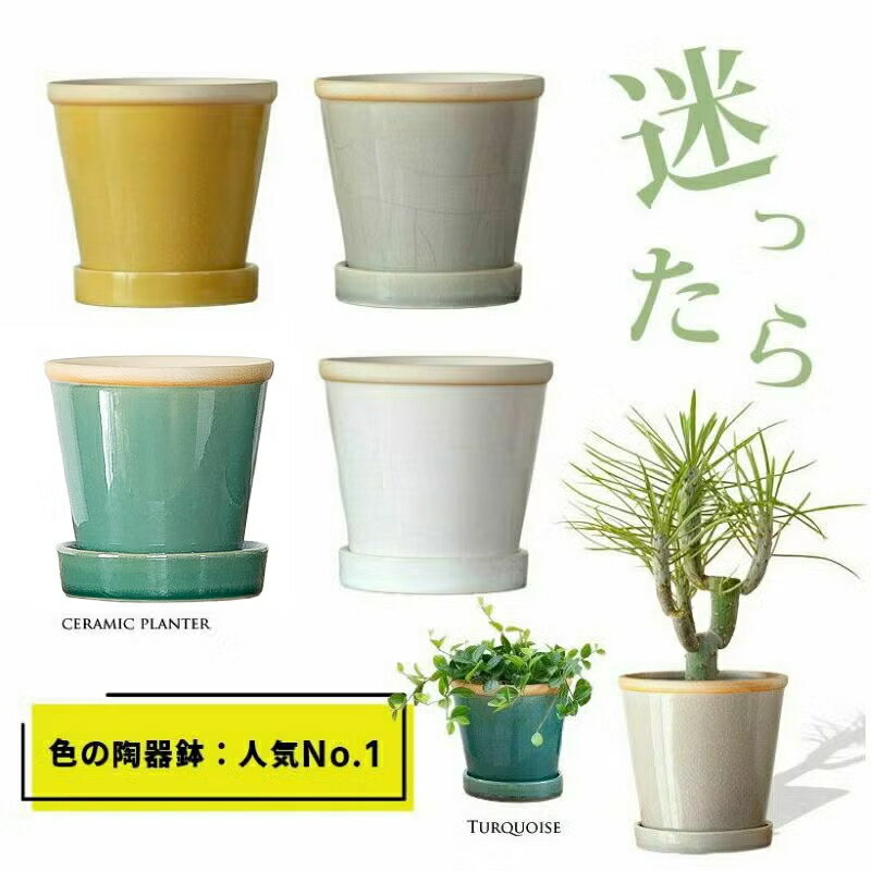 4色選べる 植木鉢 おしゃれ 観葉植物 鉢 陶器 陶器鉢 植え替え 小さめ ターコイズ グレー 白 青 黄色 灰色 3号 4号 5号 セラミック 鉢カバー 室内 鉢植え 土 屋内 カラフル
