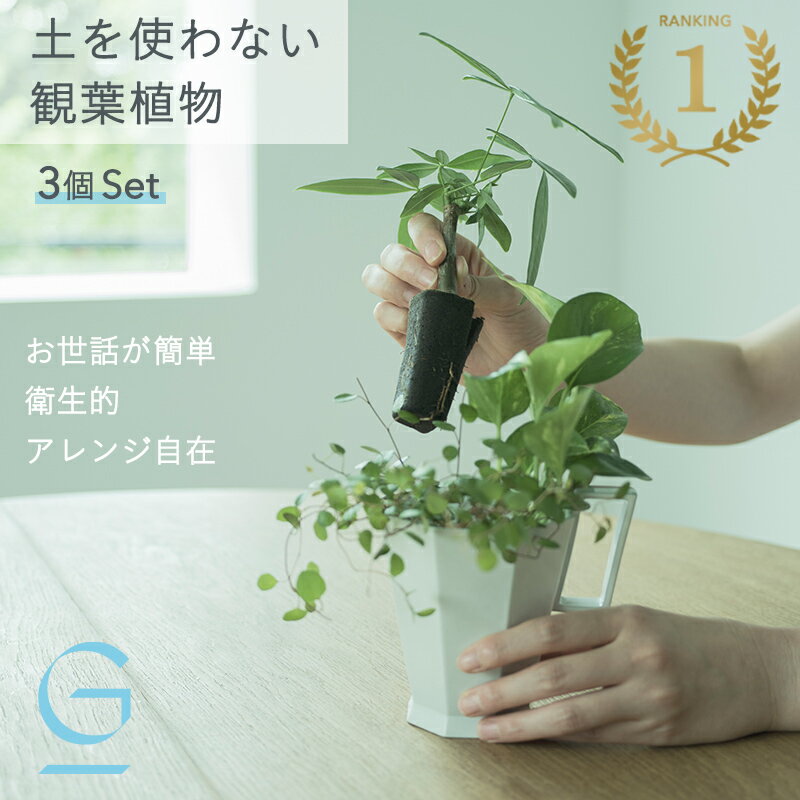 【植物3つのセット】土を使わない &amp;Green アンドグリーン お世話が簡単 衛生的 ミニ 観葉植物 小さい おしゃれ 初心者 手入れ 簡単 棚 北欧 3号 卓上 デスク 玄関 トイレ リビング インテリア ギフト お祝い 開業祝い 引っ越し祝 新築祝 敬老の日