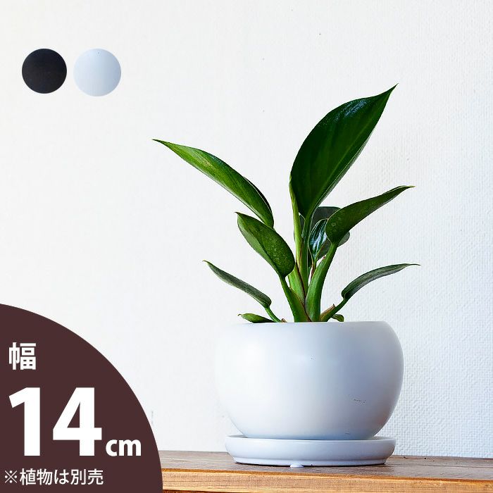 【植木鉢 おしゃれ】ボール型・陶器鉢（14cm）植木鉢 おしゃれな植木鉢