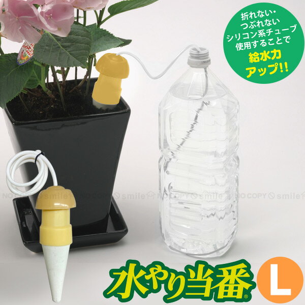 水やり当番 L【コンパクト便】/ 水やり サイフォン 毛細管現象 自動 自動給水栓 自動水やり器 鉢 プランター 観葉植物 留守 旅行