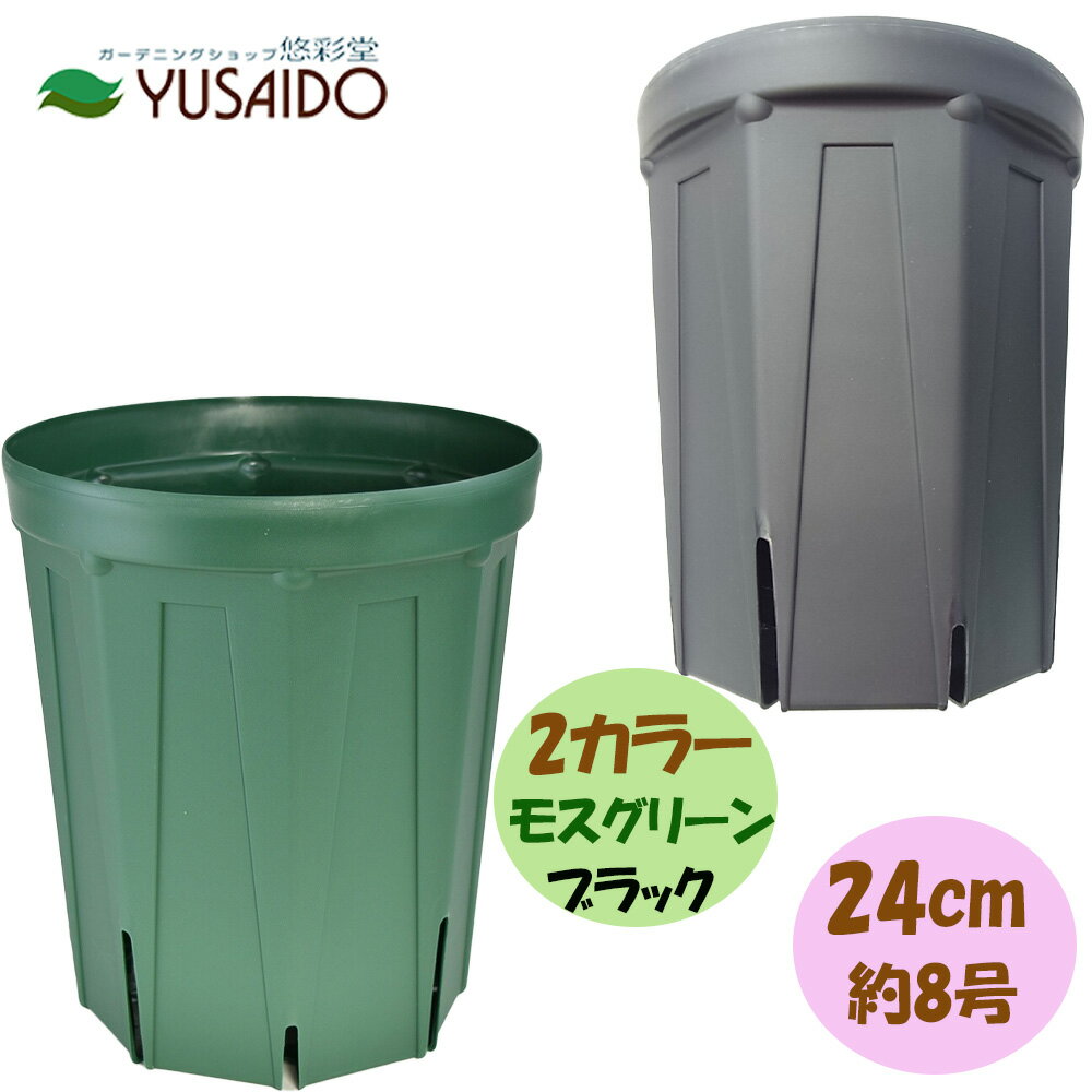 兼弥スリット鉢 ロングサイズ 24cm 8号 モスグリーン ブラック CSM-240L深型 カネヤ スリット鉢 スリット鉢ロング4号 スリット鉢4号ロング スリット鉢ロングサイズ ポット プランター 育苗 根はり鉢 ガーデニング 園芸 排水性 通気性