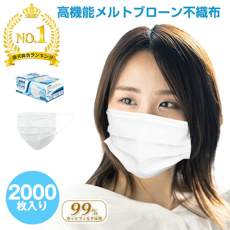 ＼楽天総合ランキング1位／ 花粉対策 マスク プリーツ 不織布 大容量 50枚 40箱 2000枚 不織布マスク 使い捨てマスク 平ゴム 耳痛くならない ふんわり やさしい 立体マスク 高性能フィルター 大量購入可能 大人用 大きめ 小さめ 防塵 飛沫感染対策 白色 ny261-2000