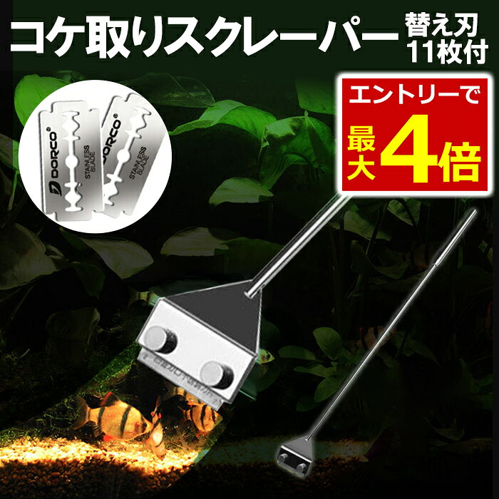 【9/15エントリーでP最大4倍!】コケ取り スクレーパー プロレイザー 46cm 替え刃11枚付 アクアリウム 水草 苔 水槽 掃除 クリーナー 苔取り シェーバー コケ 対策 水草 水草水槽 そうじ ゴッソリとれる 剃刀
