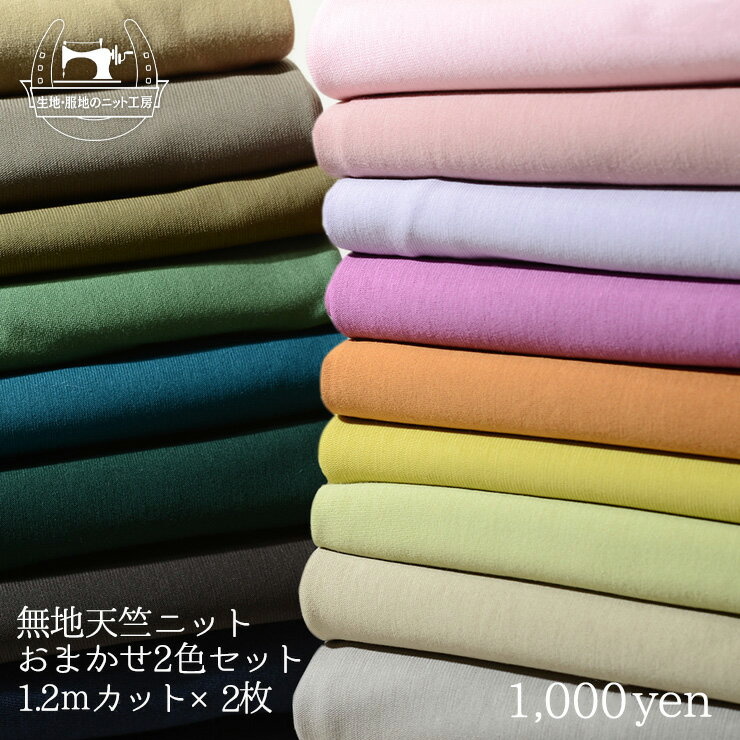 【天竺ニット生地 無地/おまかせ2色セット】綿100％ 天竺2枚組 【生地幅120～150cm×1.2mカット×2枚】複数種類の天竺から2枚お届けします Tシャツ 布ぞうり 布草履 犬服 犬用 ベビー 赤ちゃん コットン ジャージー 伸縮 セール 福袋【メール便不可】(tennjiku2set)