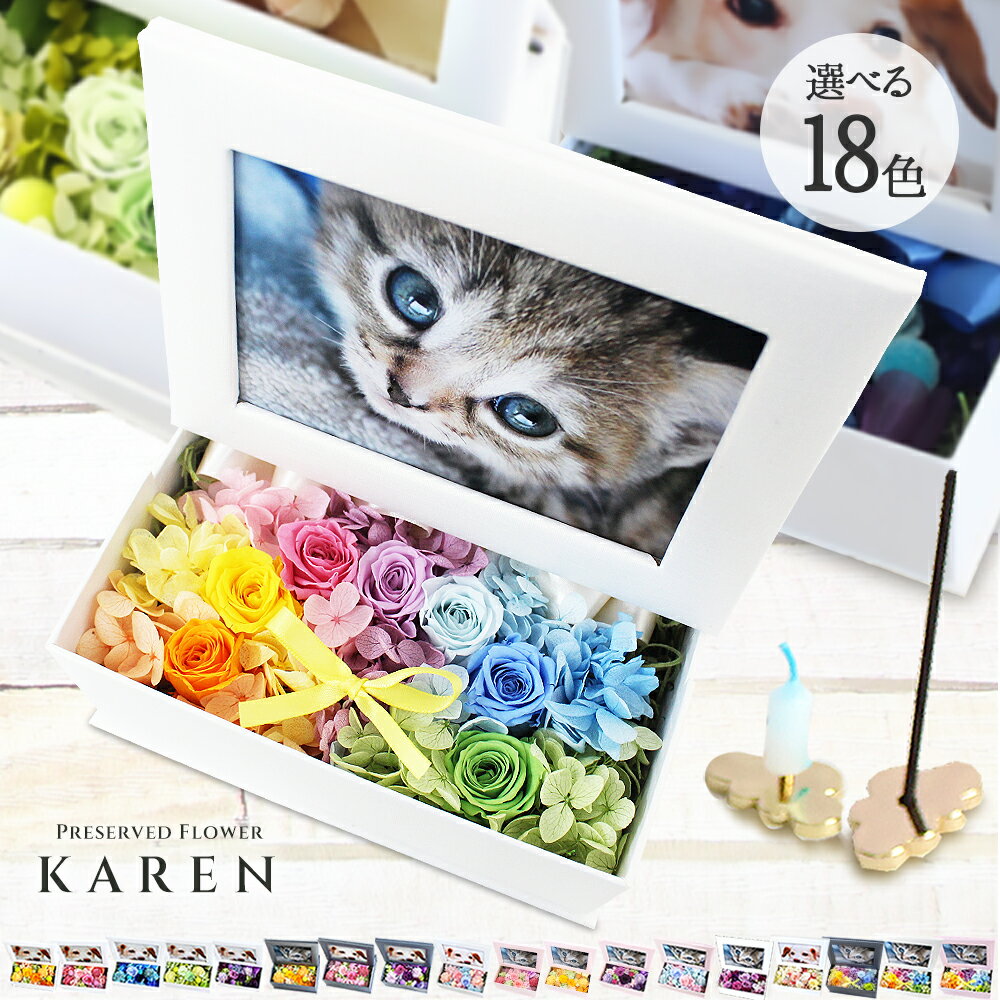 15時即日出荷 ペット お悔やみ 花 お供え プリザーブドフラワー 犬 猫 亡くなった 贈り物 写真 プリント 無料 フォトフレーム 写真立て キャンドル お悔やみ 花 写真印刷無料 初盆 写真付き 遺影 ペット用仏具 線香 蝋燭 セット ギフト ブリザードフラワー